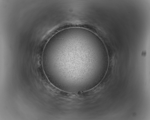X0000112981205200909031101