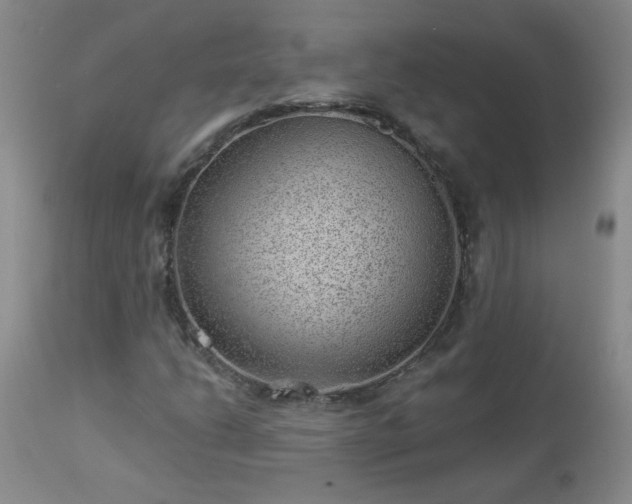 X0000112981206200909031101