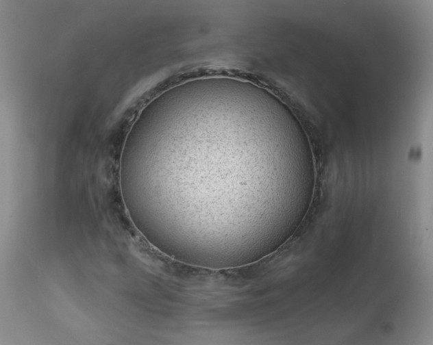 X0000112981207200909031101