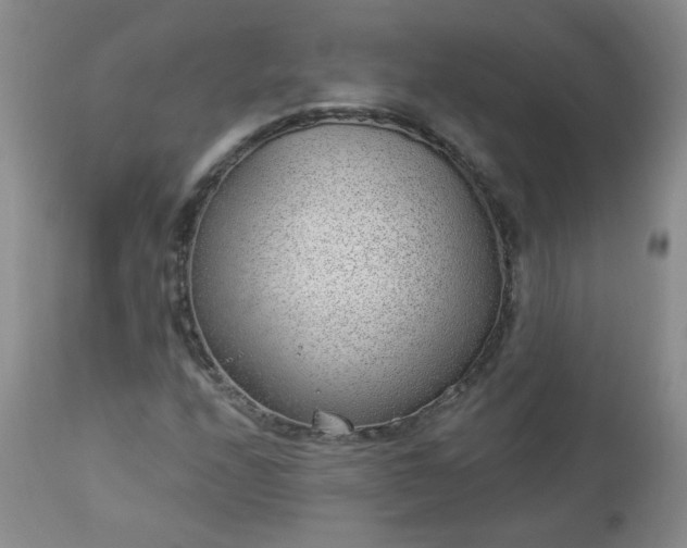 X0000112981208200909031101