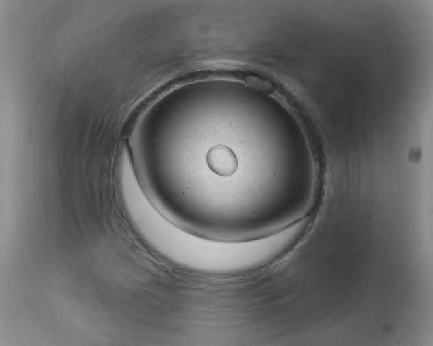 X0000112981209200909031101