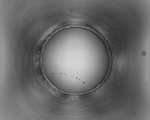 X0000112981211200909031101