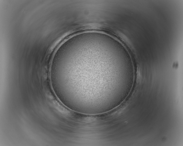 X0000112981212200909031101