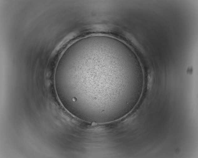 X0000112981213200909031101