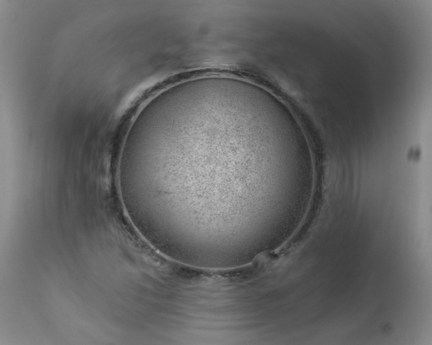 X0000112981214200909031101