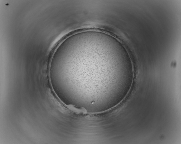 X0000112981216200909031101