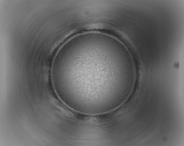 X0000112981217200909031101