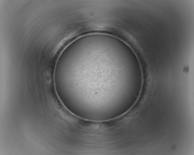 X0000112981218200909031101