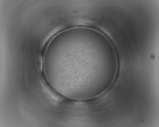 X0000112981219200909031101