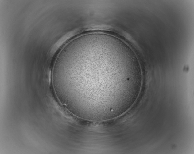 X0000112981221200909031101