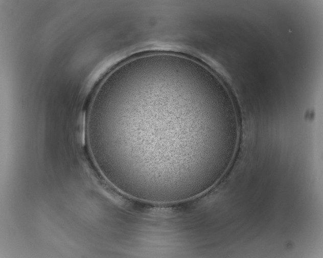 X0000112981223200909031101