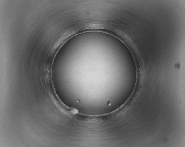 X0000112981225200909031101