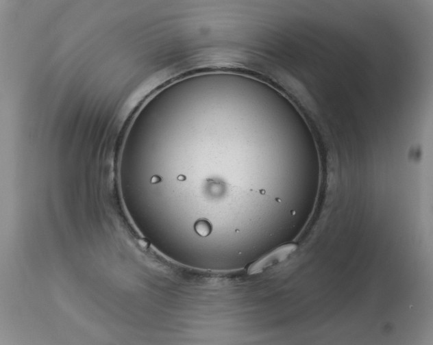 X0000112981226200909031101