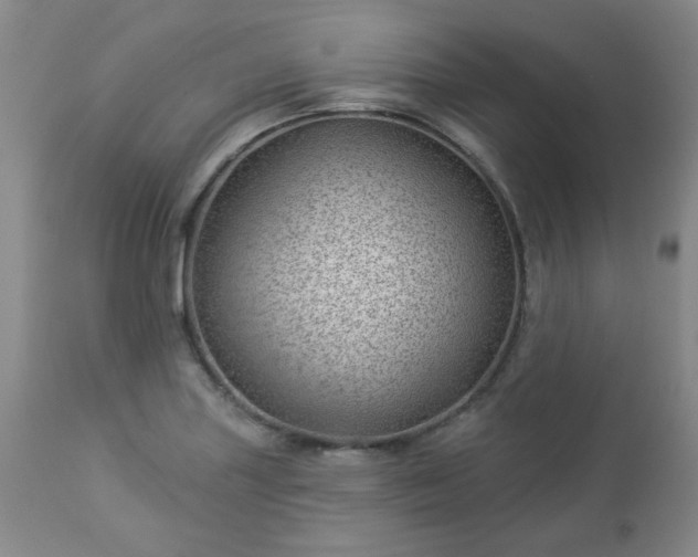 X0000112981227200909031101