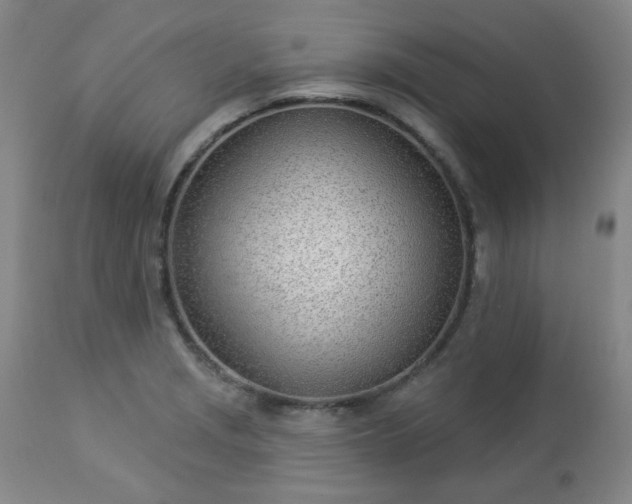 X0000112981229200909031101