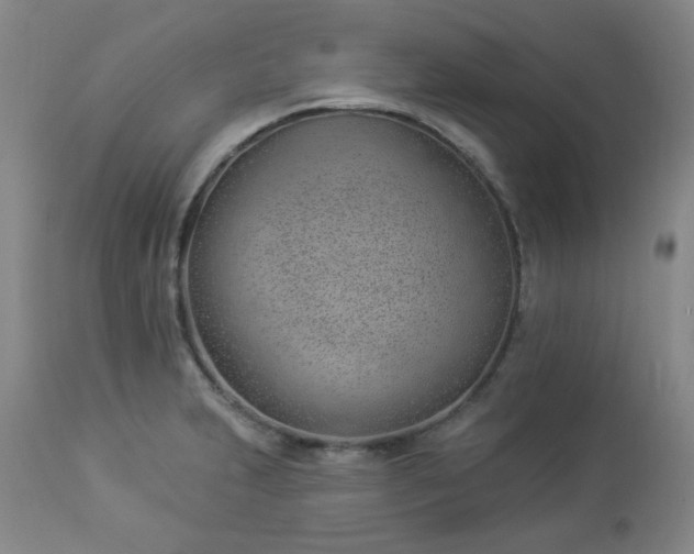 X0000112981231200909031101