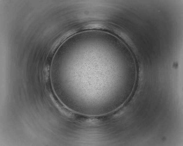 X0000112981233200909031101