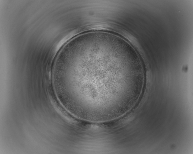 X0000112981234200909031101
