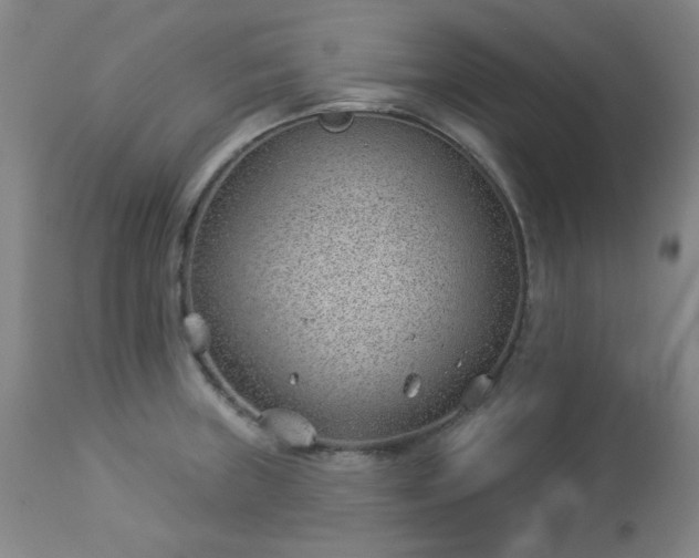 X0000112981235200909031101