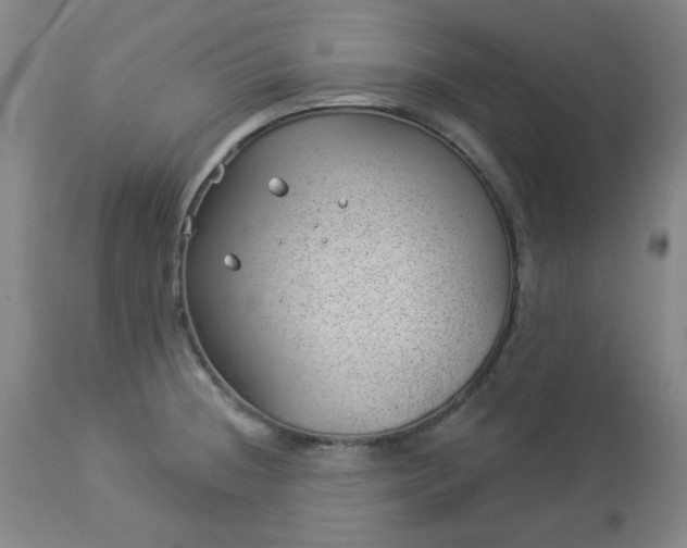 X0000112981236200909031101