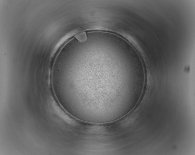 X0000112981238200909031101