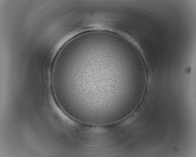 X0000112981239200909031101