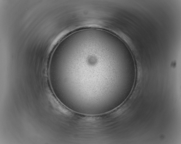 X0000112981240200909031102