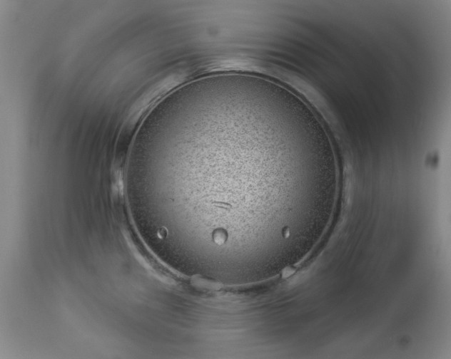 X0000112981241200909031102