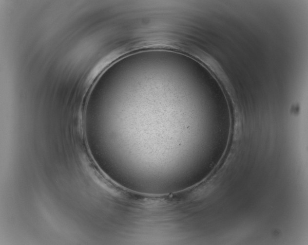 X0000112981242200909031102