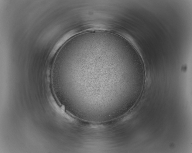 X0000112981243200909031102