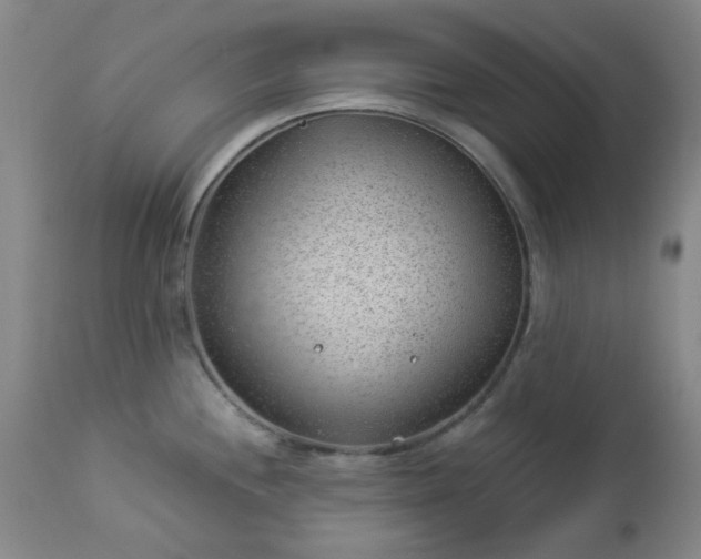 X0000112981244200909031102