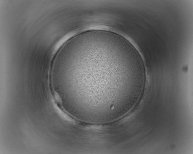 X0000112981245200909031102