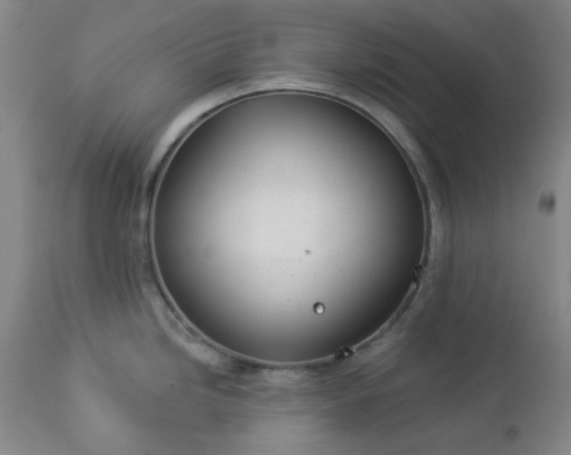 X0000112981246200909031102