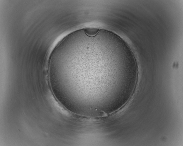 X0000112981248200909031102