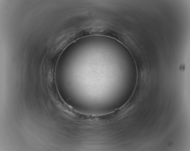 X0000112981250200909031101
