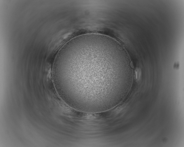 X0000112981251200909031101