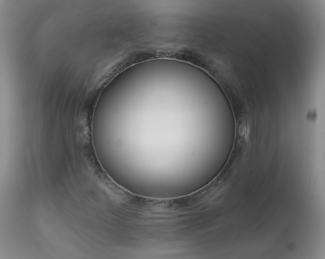 X0000112981252200909031101