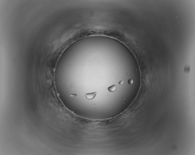 X0000112981253200909031101