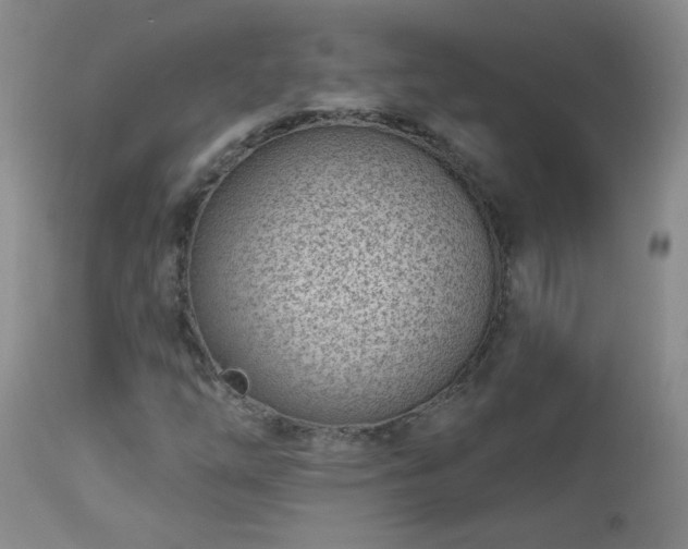 X0000112981254200909031101