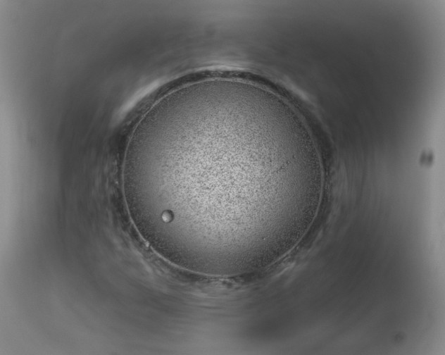 X0000112981255200909031101