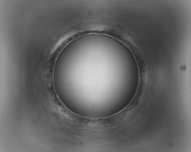 X0000112981256200909031101