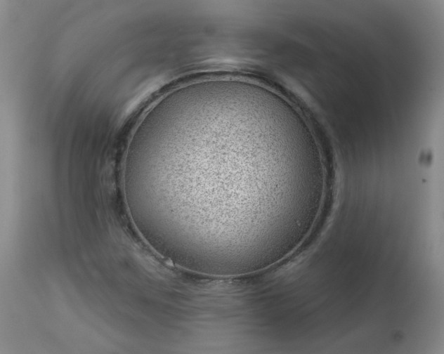 X0000112981259200909031101