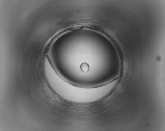 X0000112981260200909031101