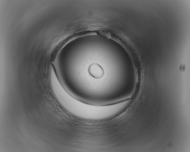 X0000112981261200909031101