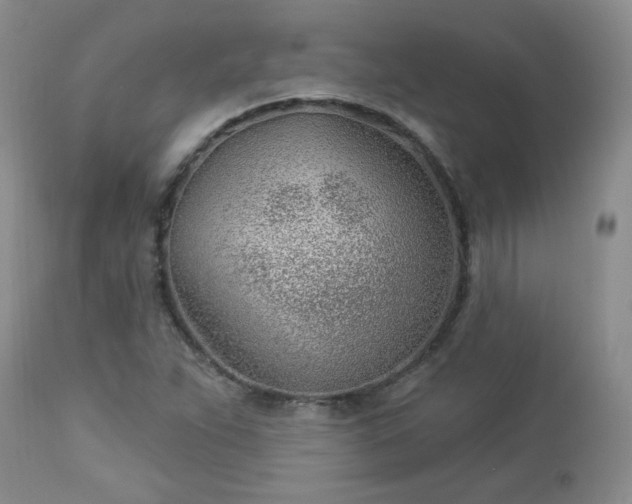 X0000112981263200909031101