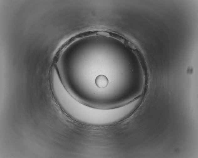 X0000112981264200909031101