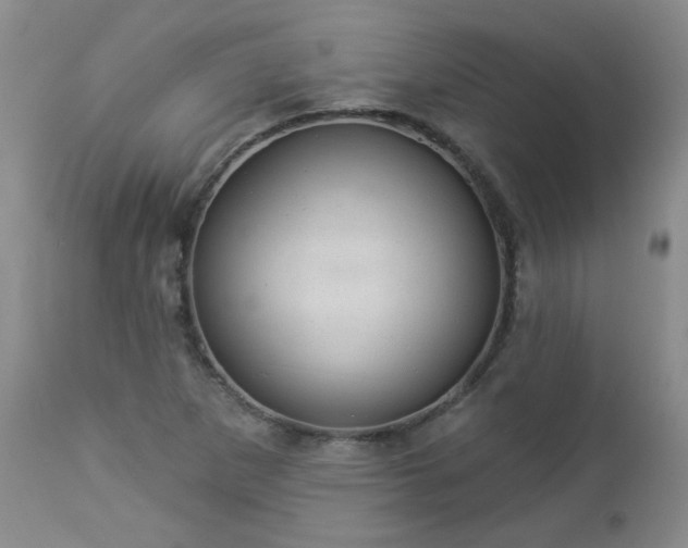 X0000112981265200909031101