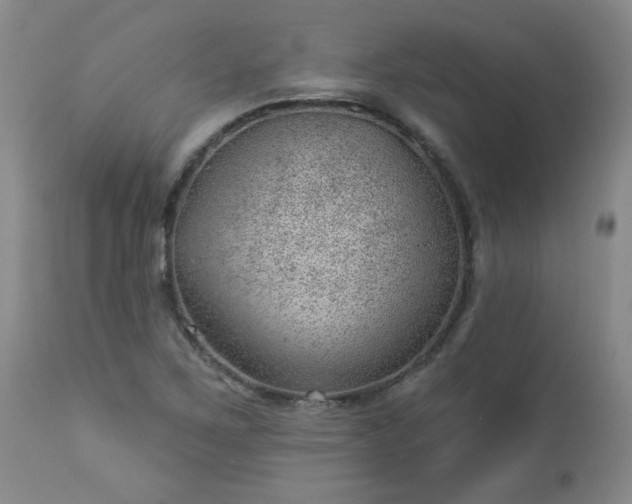 X0000112981267200909031101