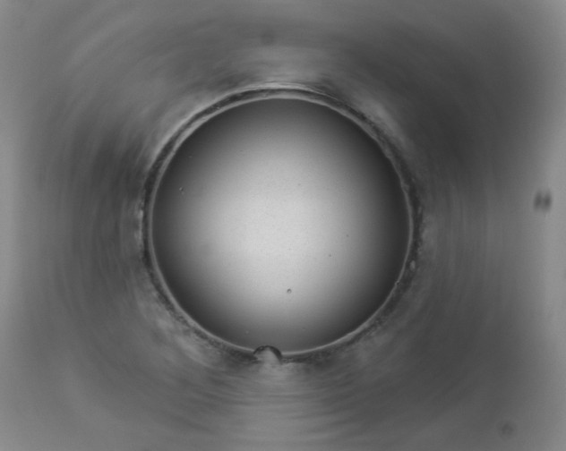 X0000112981268200909031101
