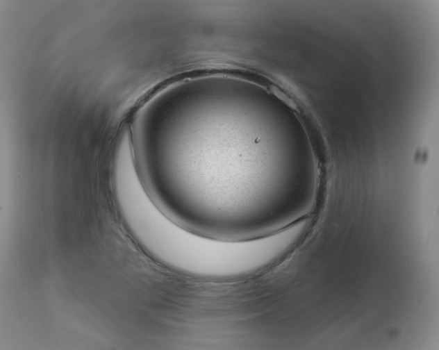 X0000112981269200909031101